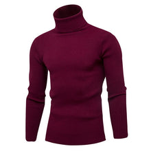 Load image into Gallery viewer, WENYUJH 2019 High Quality Warm Turtleneck Sweater Men Solid Knitted Mens Sweaters Casual Slim Pullover Male Double Collar Tops
